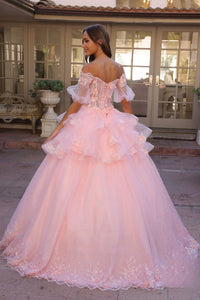 3D Flolar Applique Off Shoulder Sheer Sleeves Long Quinceanera Dress NXH1360