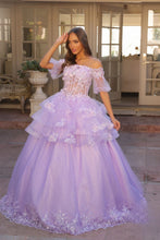 Load image into Gallery viewer, 3D Flolar Applique Off Shoulder Sheer Sleeves Long Quinceanera Dress NXH1360