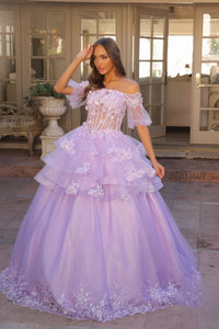 3D Flolar Applique Off Shoulder Sheer Sleeves Long Quinceanera Dress NXH1360