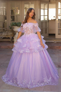 3D Flolar Applique Off Shoulder Sheer Sleeves Long Quinceanera Dress NXH1360