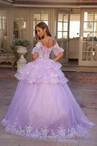 3D Flolar Applique Off Shoulder Sheer Sleeves Long Quinceanera Dress NXH1360