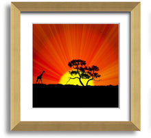 Load image into Gallery viewer, African Sunblaze