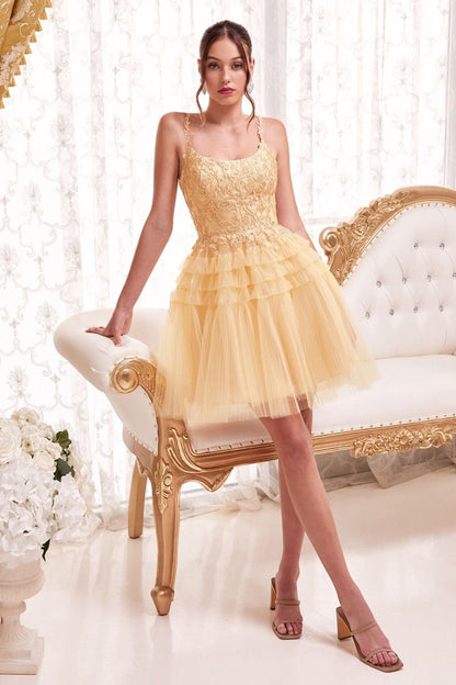 Pleated A-Line Tulle Skirt Short Cocktail & Homecoming Dress CD9310