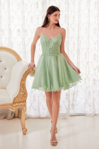 Spaghetti Straps A-Line Lace Tulle Shord Cocktail & Homecoming Dress CDCD0213