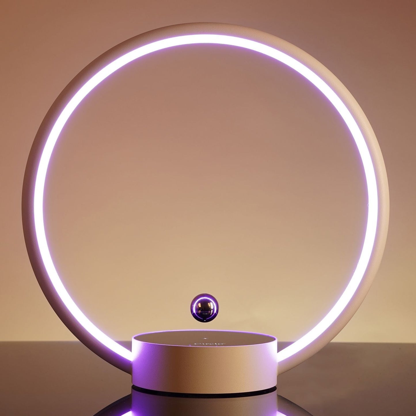 Modern Circle Table Lamp with Dimmable Touch Control, Black, Wood &
