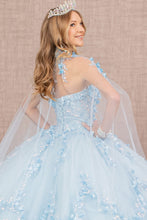 Load image into Gallery viewer, 3D Flower Applique Glitter w/ Detachable Mesh Long Sleeves Quinceanera Dress GLGL3103