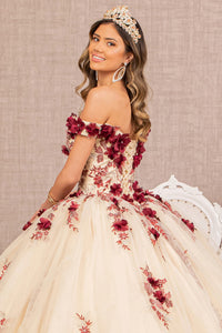 3D Flower Embroidery Off Shoulder Mesh Quinceanera Dress GLGL3105