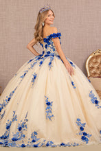 Load image into Gallery viewer, 3D Flower Embroidery Off Shoulder Mesh Quinceanera Dress GLGL3105