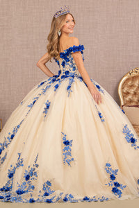 3D Flower Embroidery Off Shoulder Mesh Quinceanera Dress GLGL3105