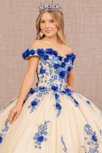 3D Flower Embroidery Off Shoulder Mesh Quinceanera Dress GLGL3105