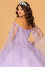 Load image into Gallery viewer, 3D Butterfly Applique Glitter w/ Long Mesh Layer Quinceanera Dress